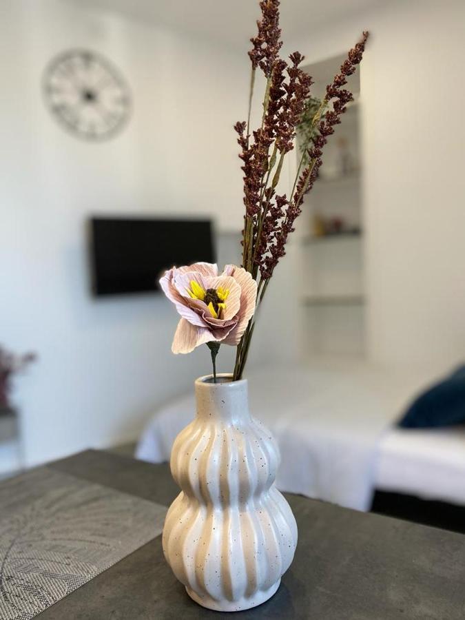 City Vibes Apartment PUY 외부 사진